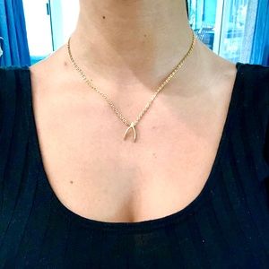 Small gold wishbone necklace